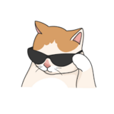 /@user?id=613118