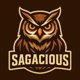 /@sagacious