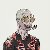 /@error404