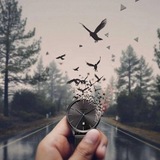 /@4242